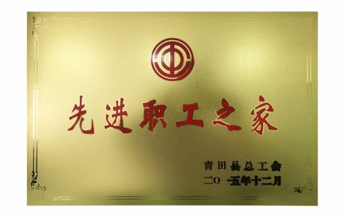 资质荣誉-k8凯发,电子式电能,智能电能表,智能开关,智能AMI系统,物联网解决规划,官方网站