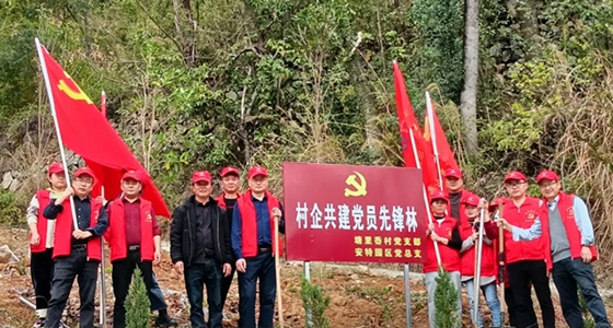 村企共建，共植前锋林