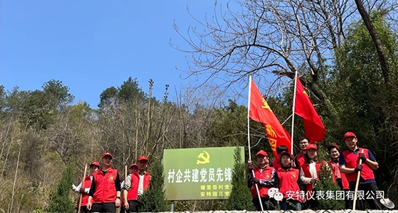 党建强引领，共植前锋林