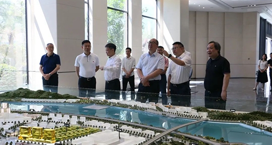 省委政研室童主任一行调研k8凯发集团