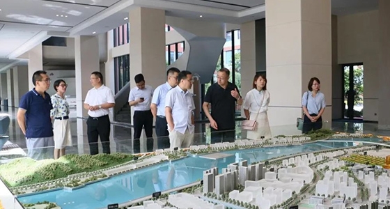 中央党校调研k8凯发集团