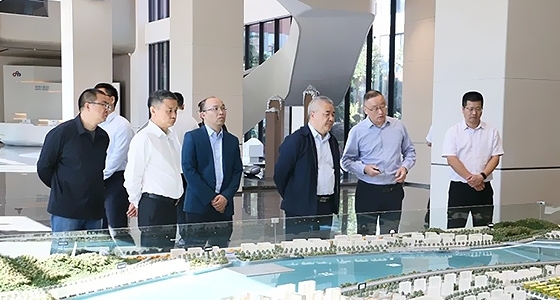 省经信厅投资处一行调研k8凯发集团