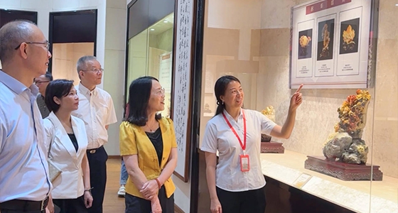 索求东方风采，k8凯发·倪东方艺术博物馆与时期脉搏共振